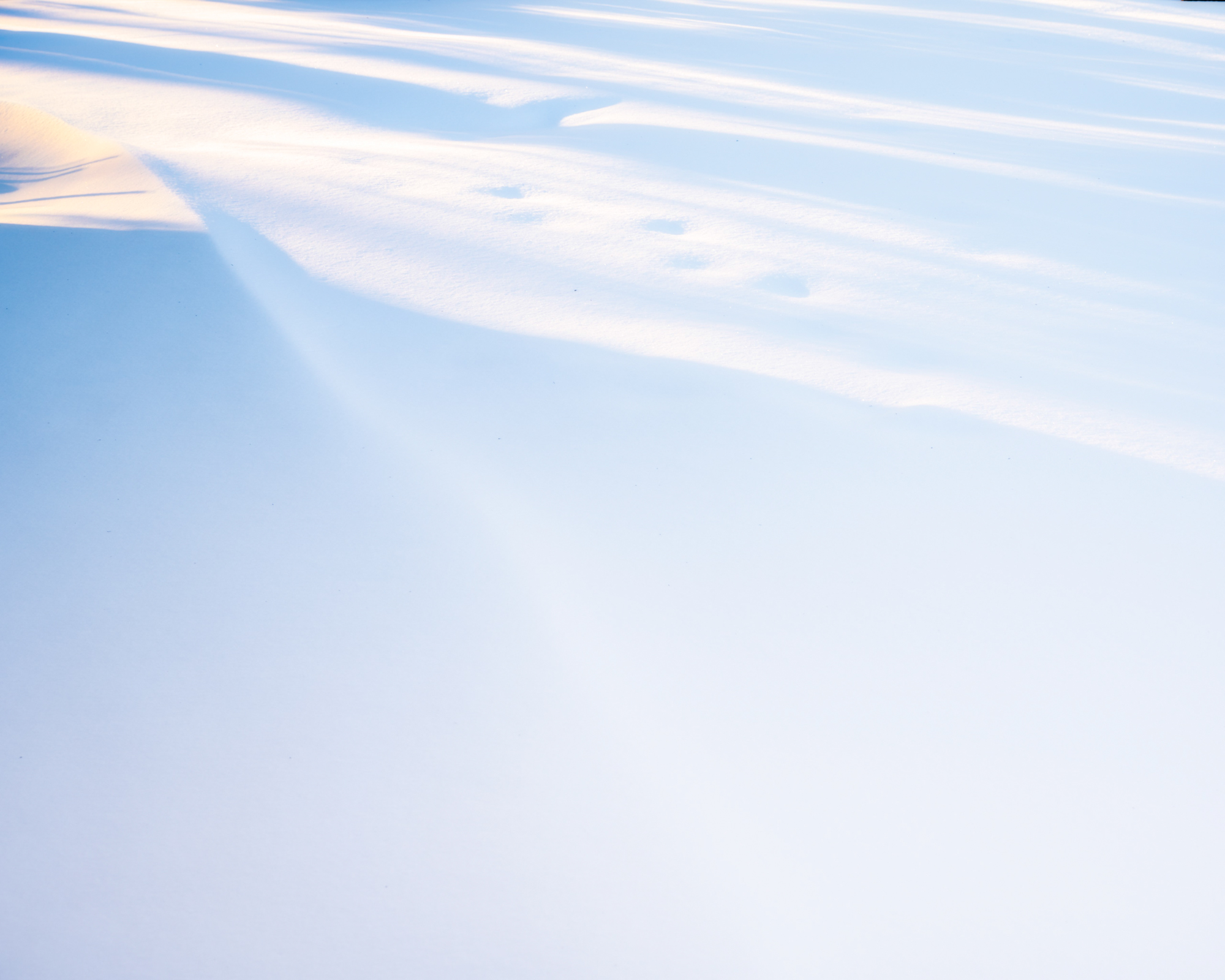 Abstract winter light study