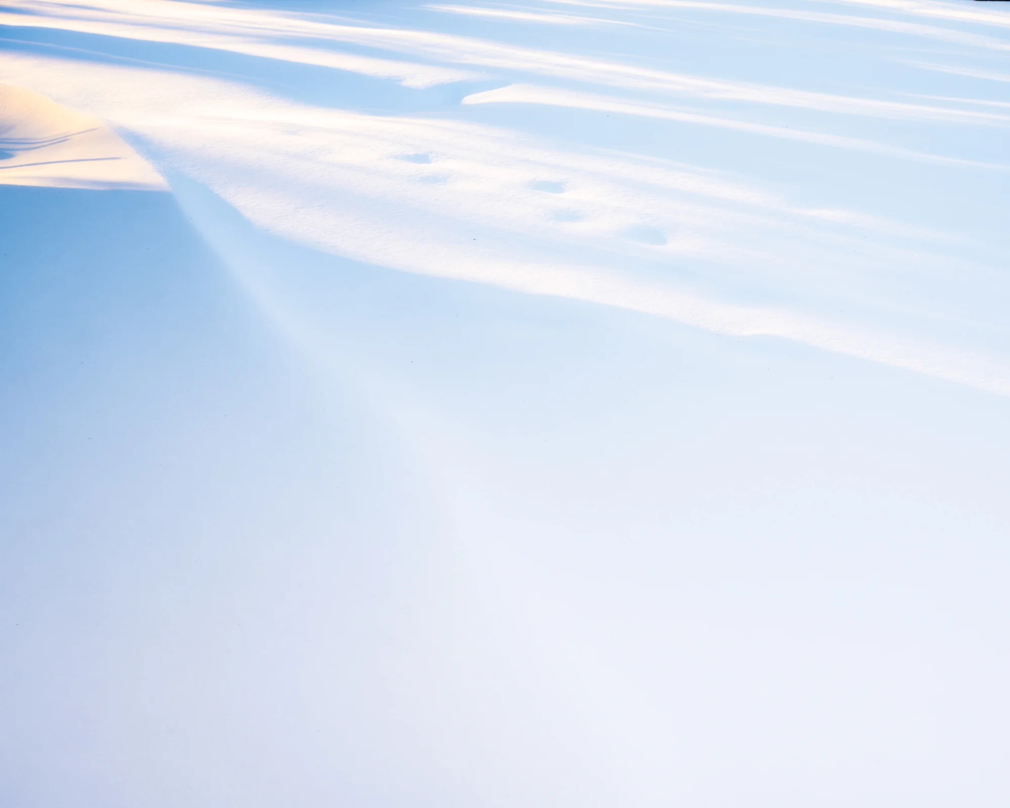 Abstract winter light study
