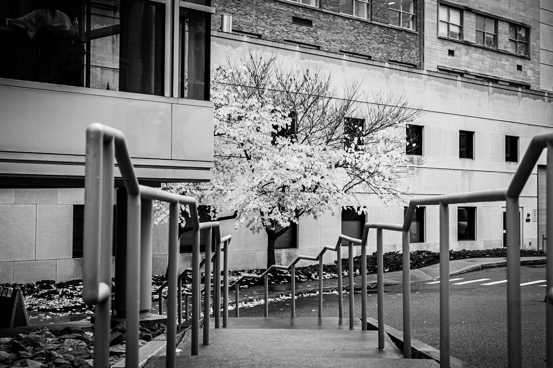 Cover image for: Pandemic Notes: comic relief