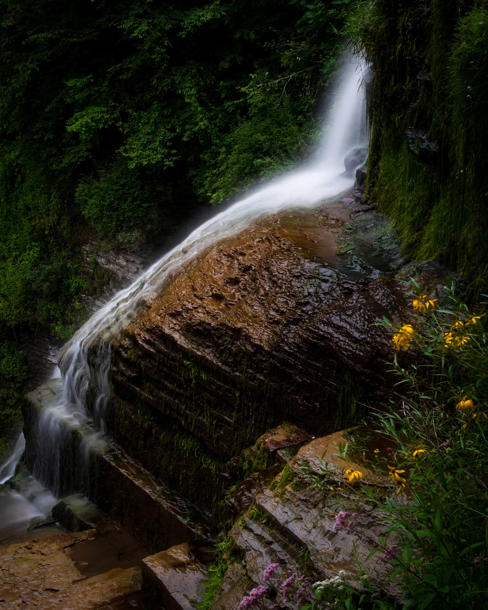 Waterfall over mossy rocks with yellow wildflowers, long exposure
